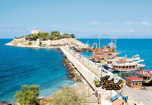 جزیره پیگون